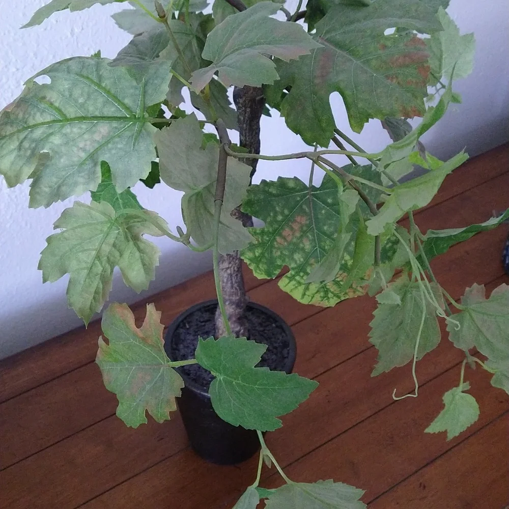 NWOT Faux Plant 22